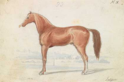 英国赛马`The English Race~Horse (1837) by Charles Hamilton Smith