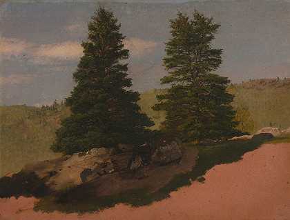 新英格兰景观（两棵松树）`New England Landscape (Two Pine Trees) (1850) by Frederic Edwin Church
