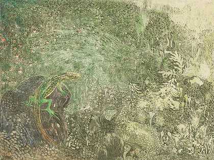 石头上的蜥蜴`Lizard On A Stone (1878~1917) by Theo van Hoytema
