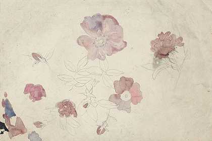 紫色和粉色的花卉研究`Bloemenstudies in paars en roze (1874) by Carel Adolph Lion Cachet