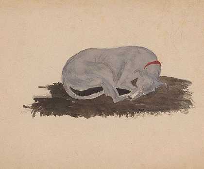睡狗`Slapende hond (1819 ~ 1881) by Johannes Tavenraat
