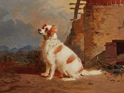 坐在谷仓外的猎犬`A spaniel seated outside of a barn (19th Century) by English School