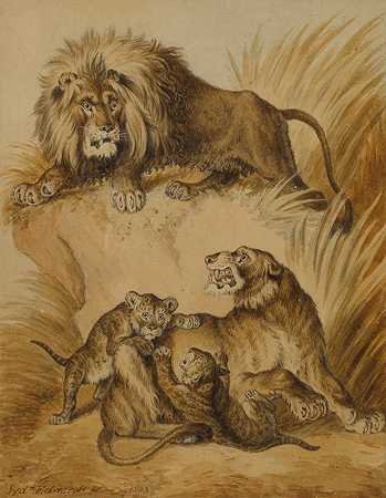一头狮子、一头母狮和两只幼崽`A Lion, Lioness and two cubs by Sydenham Edwards