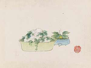 盆景卡本祖，Pl.10`
Bonsai kabenzu, Pl.10 (1868~1912)