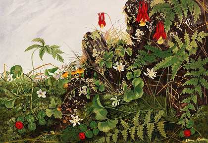 野花一号`Wild Flowers No. 1 (1878) by Ellen Robbins