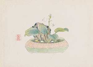 盆景卡本祖，Pl.09`
Bonsai kabenzu, Pl.09 (1868~1912)