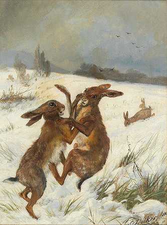 野兔`Hasen by Carl Friedrich Deiker