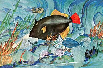 傻瓜鱼`Foolfish (1929~1932) by Stephen Haweis