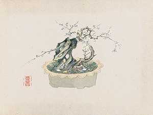 盆景卡本祖，Pl.06`
Bonsai kabenzu, Pl.06 (1868~1912)