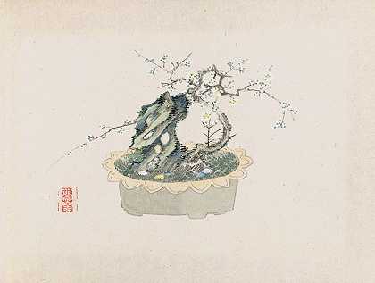 盆景卡本祖，Pl.06`Bonsai kabenzu, Pl.06 (1868~1912)