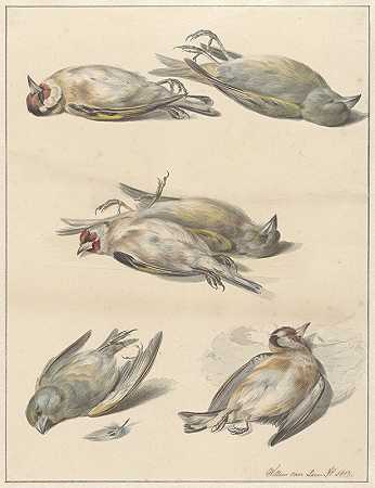 六只死鸟`Zes dode vogeltjes (1803) by Willem van Leen