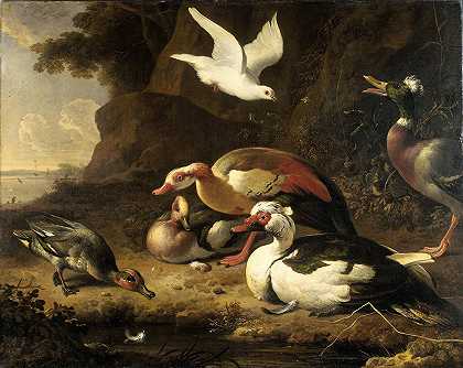 鸭子`Ducks (c. 1675 ~ c. 1680) by Melchior d;Hondecoeter