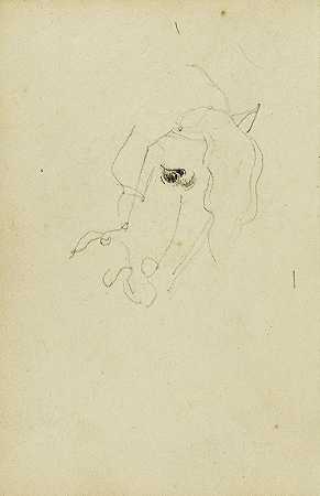 马头`Horse head (1812 ~ 1814) by Théodore Géricault
