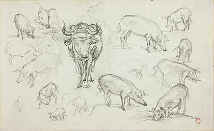 猪和牛的素描`Sketches of Swine and an Ox by Charles François Daubigny