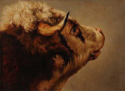 牛头`Tête de vache by Jacques-Raymond Brascassat