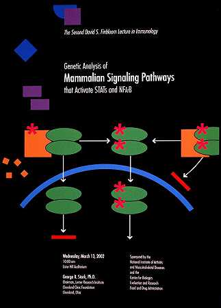激活STATs和NFkB的哺乳动物信号通路的遗传分析`Genetic analysis of mammalian signaling pathways that activate STATs and NFkB (2002) by National Institutes of Health