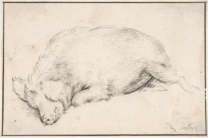 睡猪`A Sleeping Swine (mid~17th century) by Adriaen van de Velde