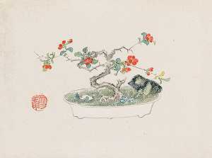 盆景卡本祖，Pl.07`
Bonsai kabenzu, Pl.07 (1868~1912)