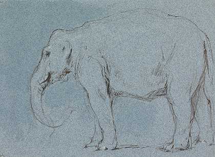 一只大象`An Elephant (ca. 1856) by George Jones