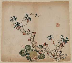 分枝树桩`
Branching Stump (1368~1644)