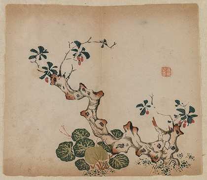 分枝树桩`Branching Stump (1368~1644)