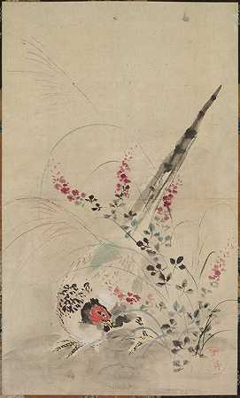 野鸡和草`Pheasant and Grasses (late 1600s~early 1700s) by Ogata Kōrin