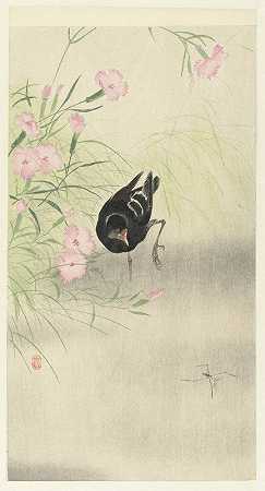 有花植物`Moorhen at flowering plant (1900 ~ 1930) by Ohara Koson