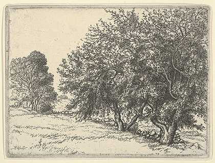 苹果树`Apple Trees (1923) by Ernest Haskell