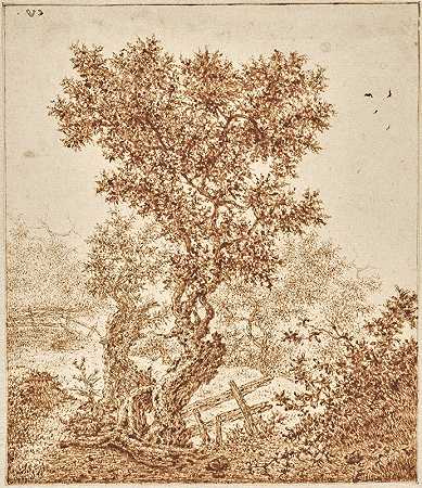 沙丘上有篱笆的多节老树`Knotty Old Tree in the Dunes with a Fence (1650–1670) by Claes van Beresteyn