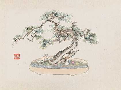 盆景卡本祖，Pl.02`Bonsai kabenzu, Pl.02 (1868~1912)