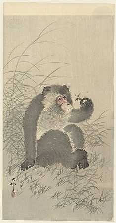 带昆虫的猴子`Monkey with insect (1900 ~ 1930) by Ohara Koson