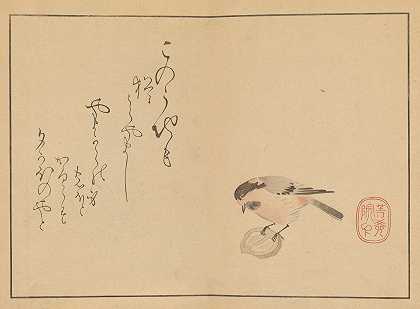 酒井浩，itsu gajo，第17页`Sakai Hōitsu gajō, Pl.17 (1800~1912) by Sakai Hōitsu