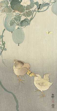 两只小鸡为蝴蝶而战`Two chicks fighting for butterfly (1900 ~ 1910) by Ohara Koson