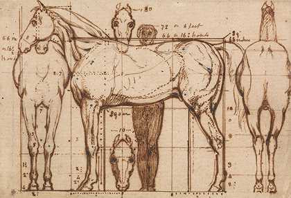 马的解剖学研究`Anatomical Study of a Horse by William Mulready