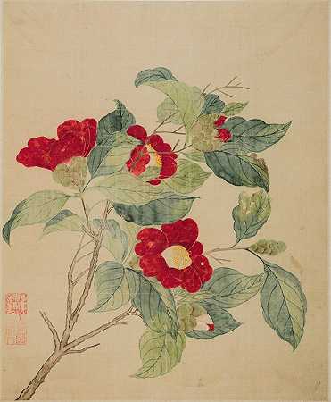 山茶花`Camellias (1690) by Ma Yuanyu