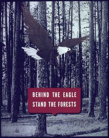 鹰的后面是森林`Behind the eagel stand the forests (1941~1945)