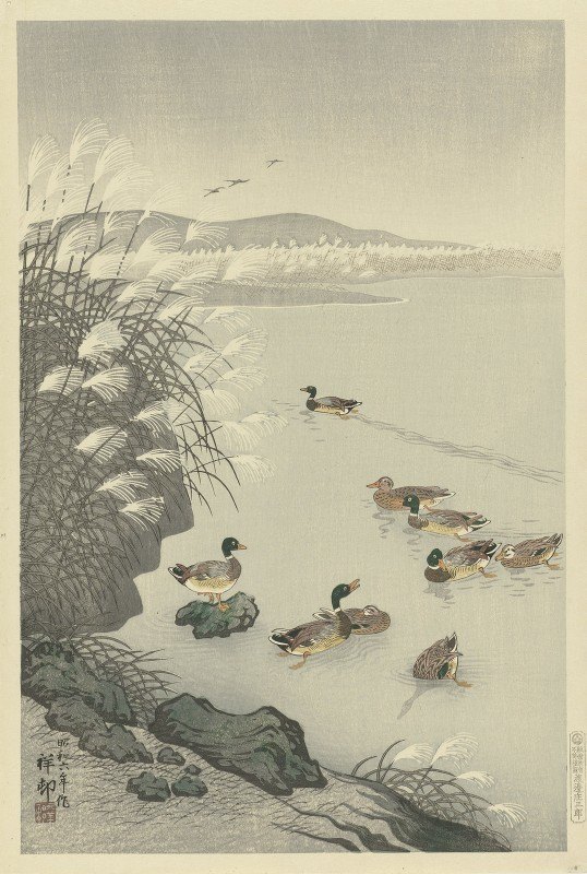 水中的鸭子`Ducks in the water (1900 ~ 1931) by Ohara Koson