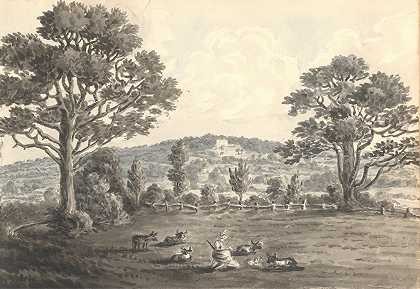 田里的克莱伯里，1829年5月`Clayberry from Field, May 1829 (1829) by Anne Rushout