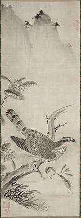 鹰`Hawk (mid 1500s) by Fujiwara Masayoshi