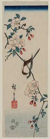 小鸟（燕子？）在樱桃枝上`Small Bird (Swallow ?) on Cherry Branch (1854) by Andō Hiroshige