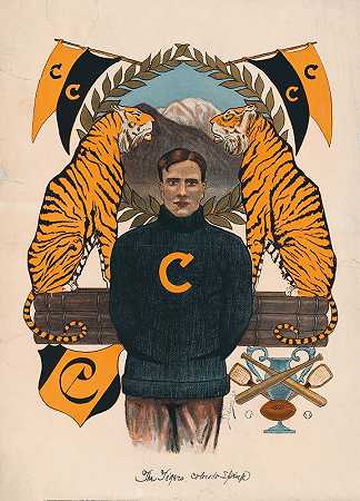 科罗拉多泉老虎队`The tigers, Colorado~Springs (1905) by Whitney and Grimwood