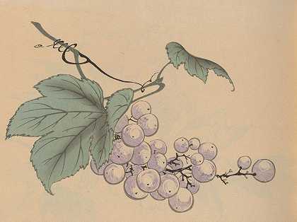 霍吉加霍，pl.05`Hōgajō, Pl.05 (1901) by Jirō Takeuchi