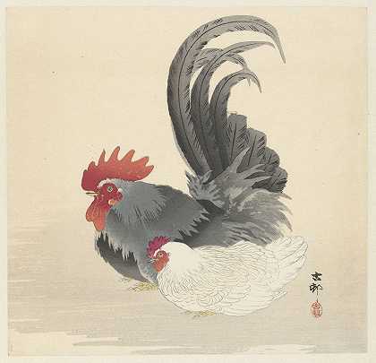母鸡和公鸡`Hen and rooster (1900 ~ 1936) by Ohara Koson