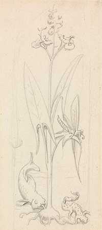 彩色玻璃研究，水草草，鱼和蝾螈`Stained Glass Study, Water Plant with Grasshoper, Fish and Newt by Sir John Everett Millais