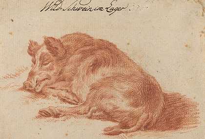 野猪`Wild Boar (18th century) by German, 18th Century