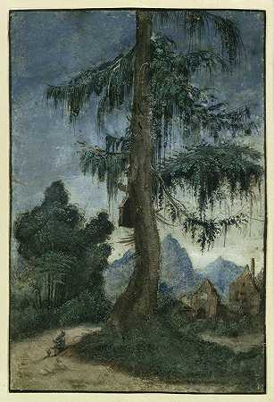 云杉景观`Landscape with spruce (circa 1522) by Albrecht Altdorfer