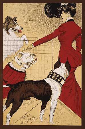 芝加哥犬舍俱乐部狗狗秀`Chicago Kennel Clubs dog show (1902) by George Ford Morris