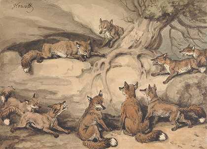 九只狐狸围着一棵树伊索寓言s寓言失去尾巴的狐狸`Nine Foxes Gathered Around a Tree; an Illustration of Aesops Fable, The Fox who Lost His Tail by Samuel Howitt