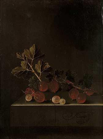 阿德里安·库特（Adriaen Coorte）在石头基座上的一小枝醋栗`A Sprig of Gooseberries on a Stone Plinth (1699) by Adriaen Coorte