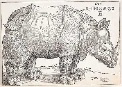 犀牛`The rhinoceros (1515) by Albrecht Dürer